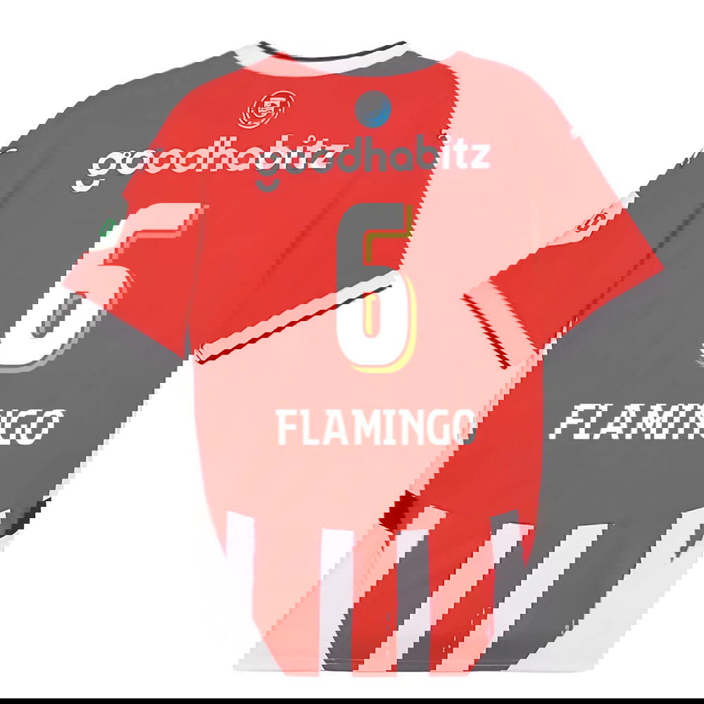 2024-2025 PSV Eindhoven Home Shirt (Flamingo 6)