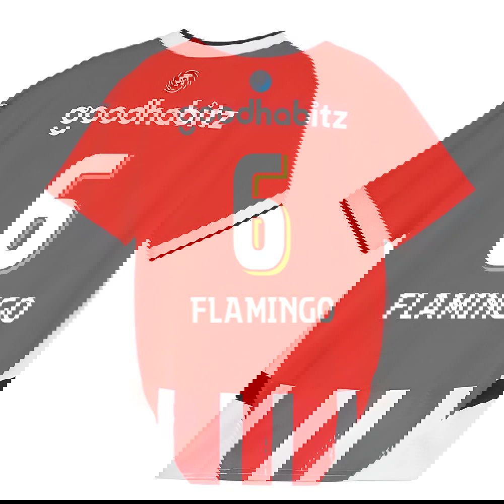 2024-2025 PSV Eindhoven Home Shirt (Kids) (Flamingo 6)