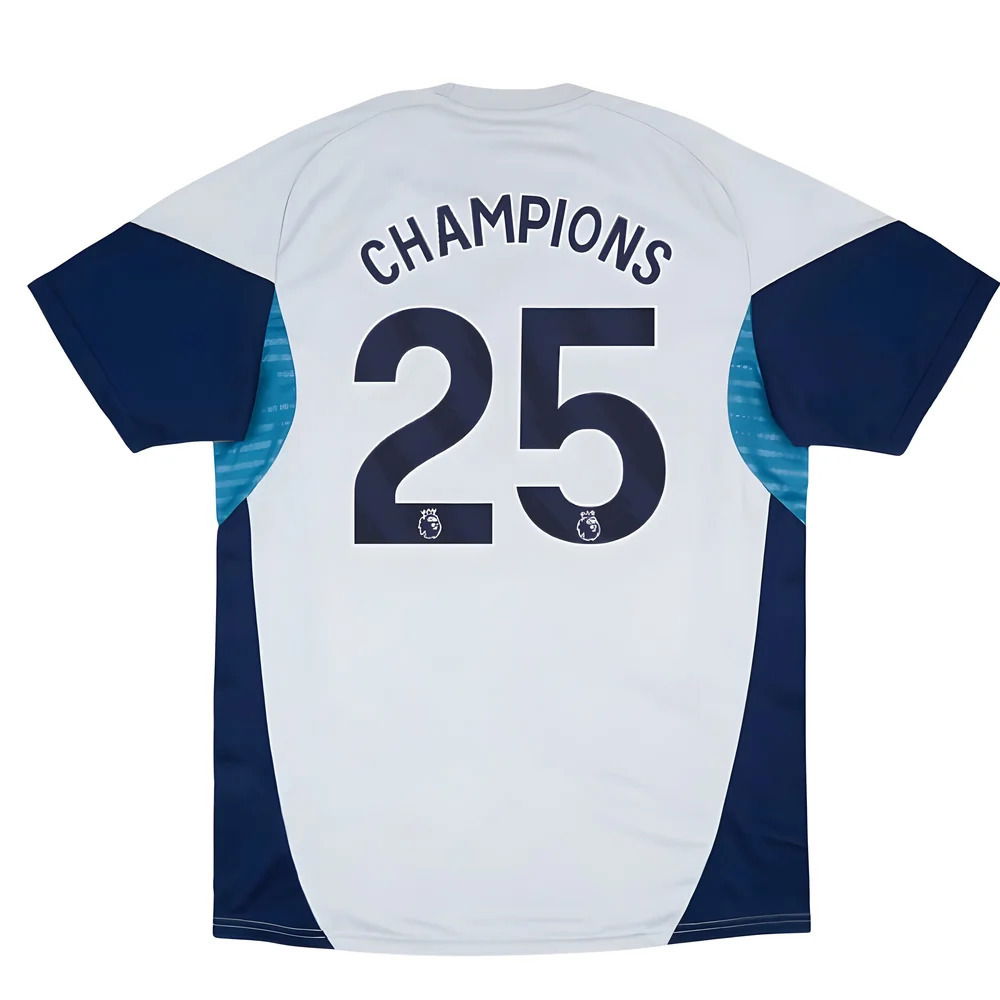 2025-2026 Arsenal Training Shirt (Grey Two) (Champions 25)