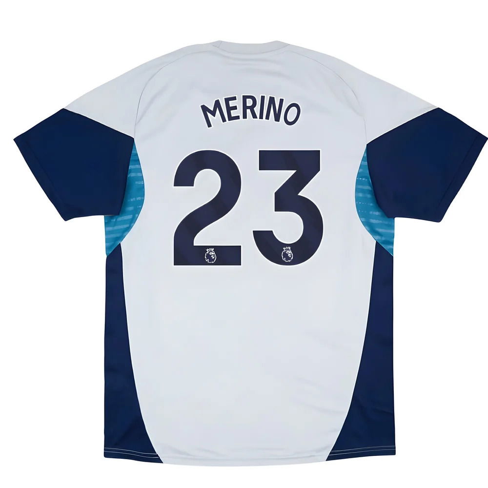 2025-2026 Arsenal Training Shirt (Grey Two) (Merino 23)