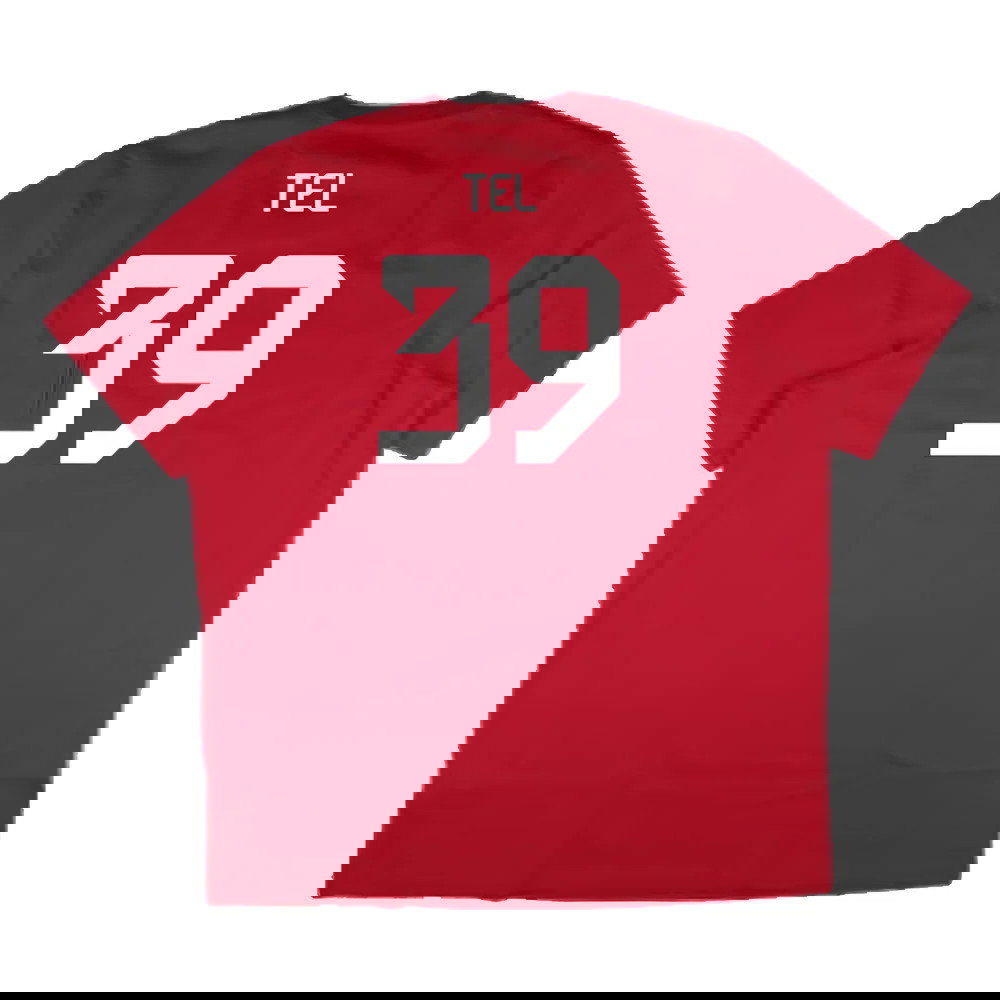 2024-2025 Bayern Munich DNA Graphic Tee (Red) (Tel 39)
