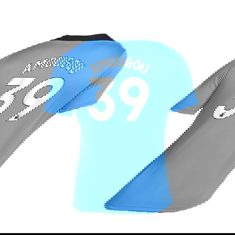 2024-2025 Chelsea Strike Dri-FIT Knit Shirt (Light Photo Blue) (Amougou 39)