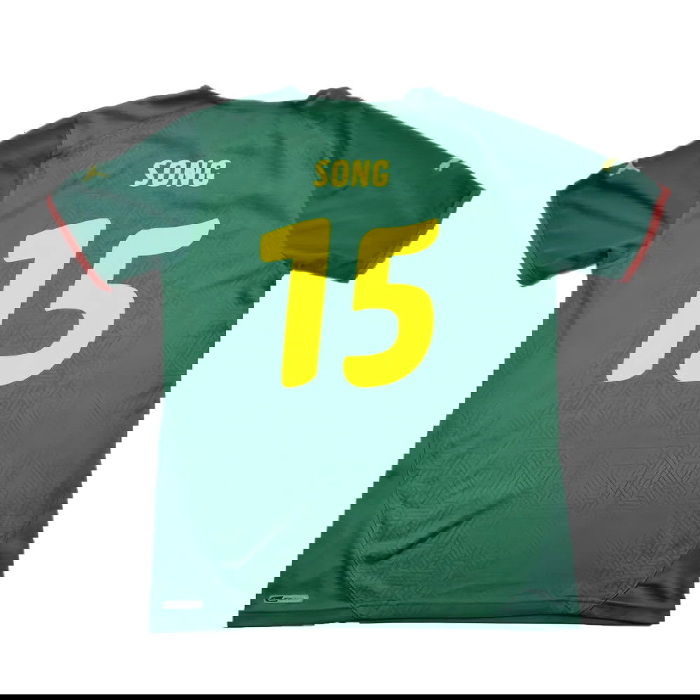 Cameroon 2010-11 Home Shirt ((Excellent) L) (SONG 15)