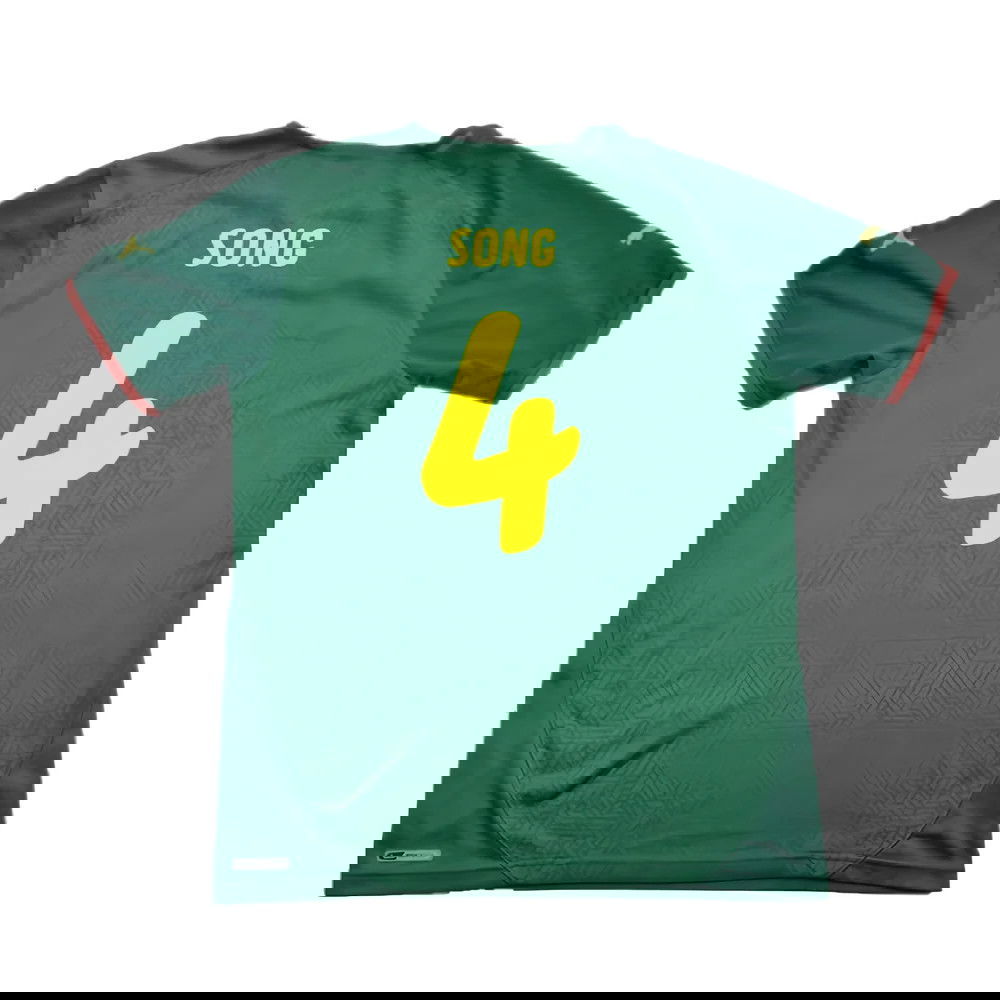Cameroon 2010-11 Home Shirt ((Excellent) L) (SONG 4)