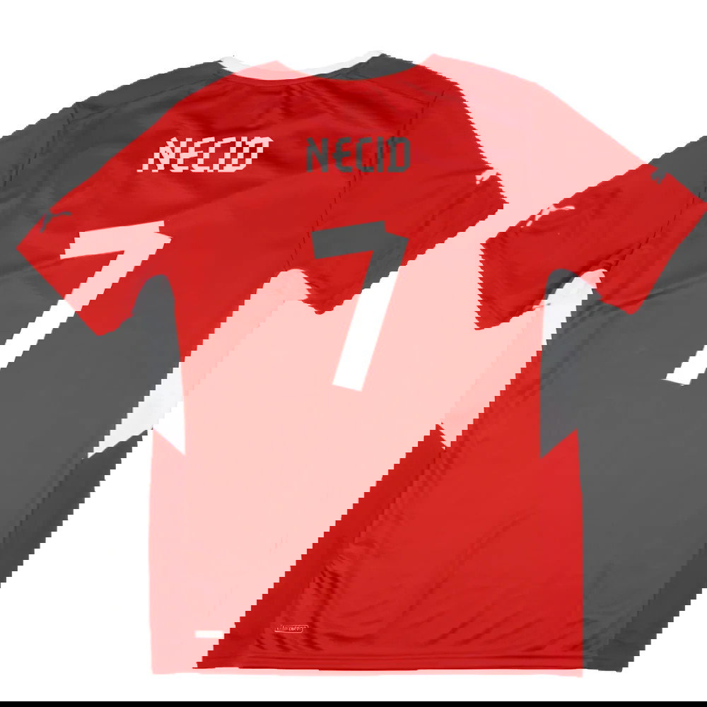 Czech Republic 2012-13 Home Shirt (L) (Mint) (Necid 7)