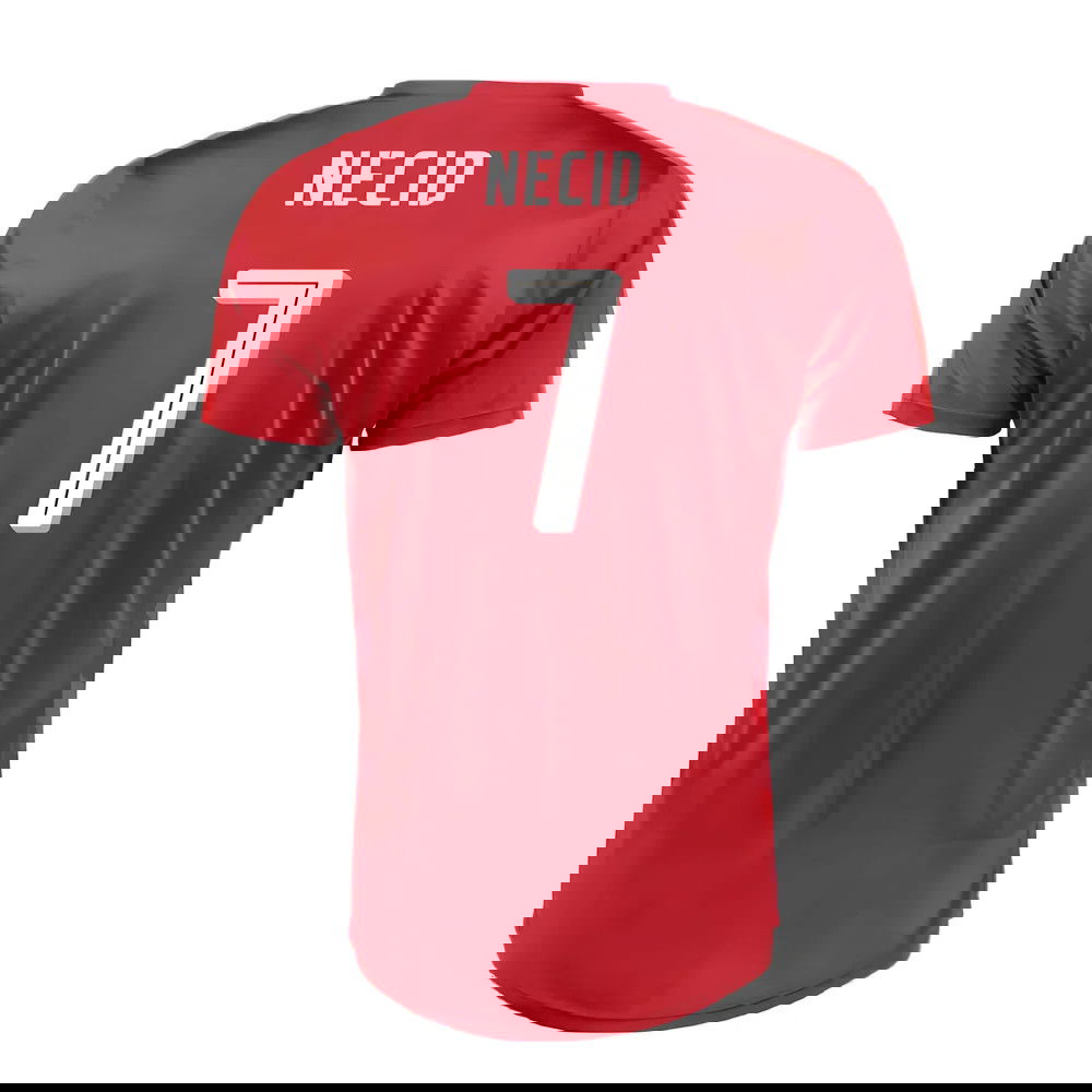 Czech Republic 2016-17 Home Shirt ((Very Good) XXL) (Necid 7)