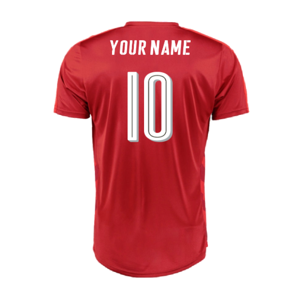 Czech Republic 2016-17 Home Shirt ((Very Good) XXL) (Your Name)