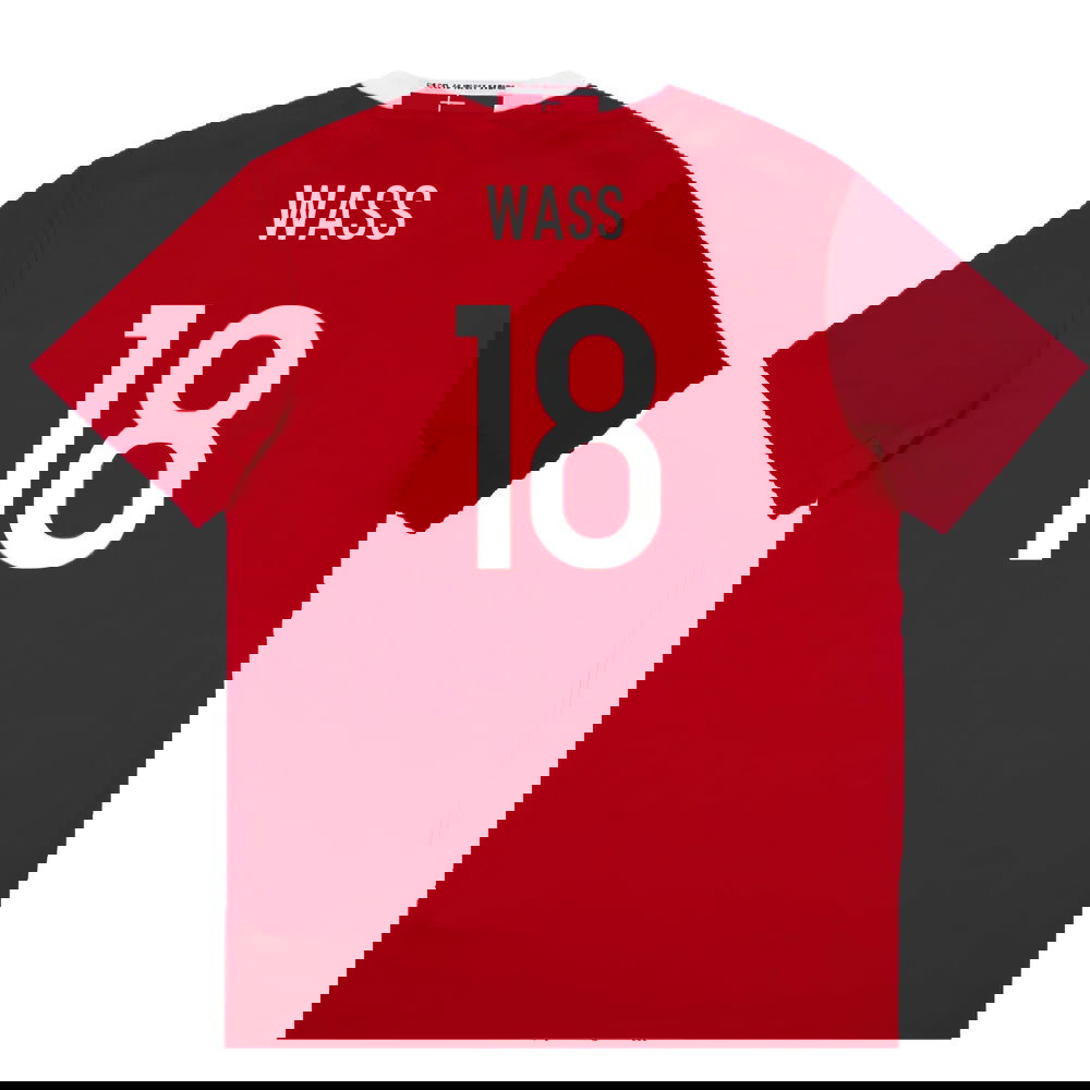 Denmark 2015-16 Home Shirt (L) (Excellent) (Wass 18)