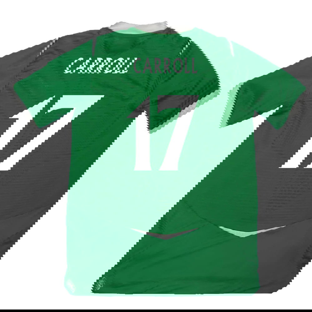 Northern Ireland 2008-09 Home Shirt (L) (Excellent) (Carroll 17)