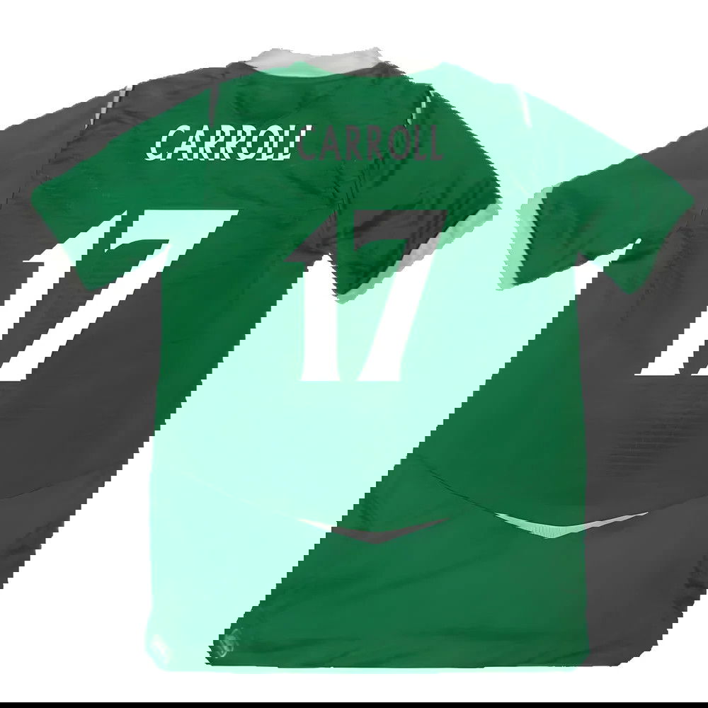 Northern Ireland 2008-09 Home Shirt ((Excellent) M) (Carroll 17)