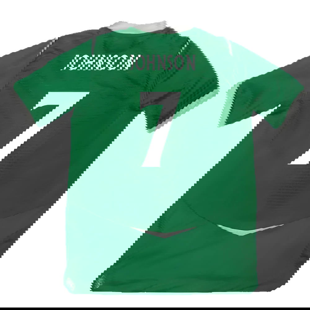 Northern Ireland 2008-09 Home Shirt ((Excellent) M) (Johnson 7)