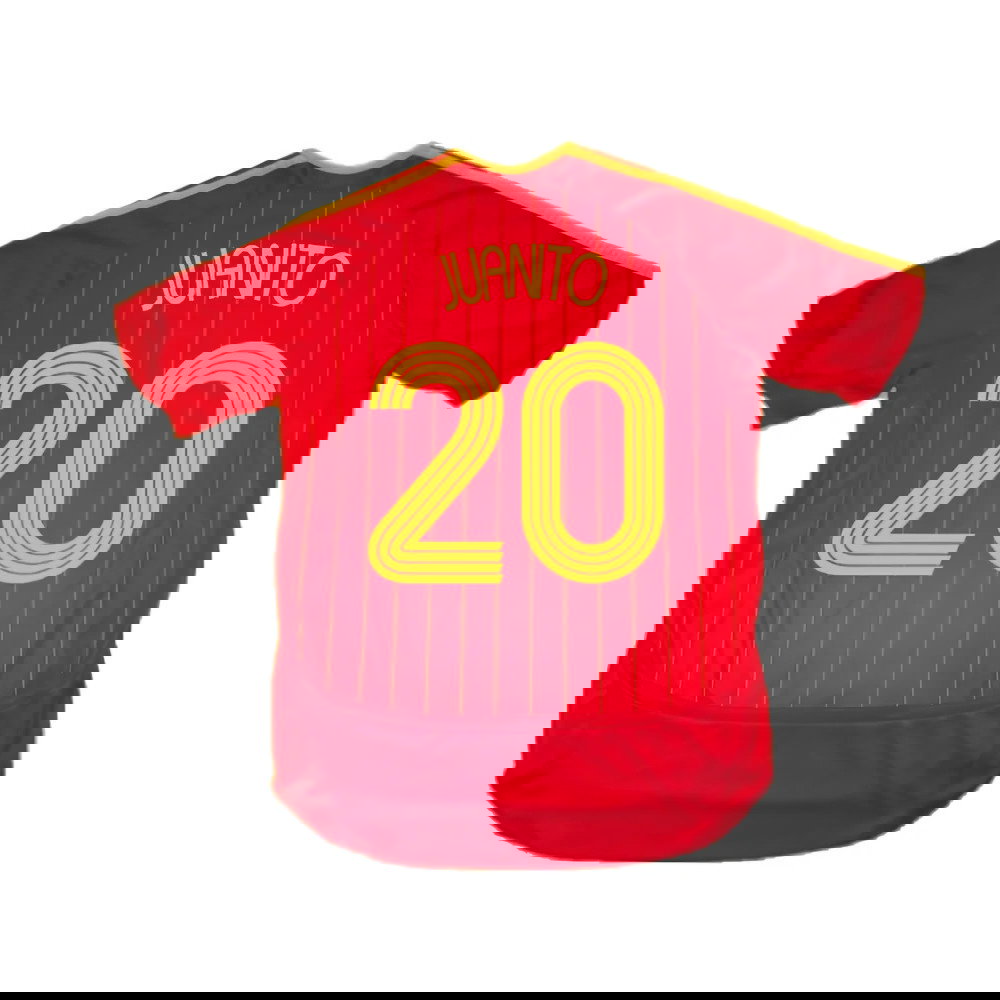 Spain 2006-08 Home Shirt (S) (Excellent) (Juanito 20)