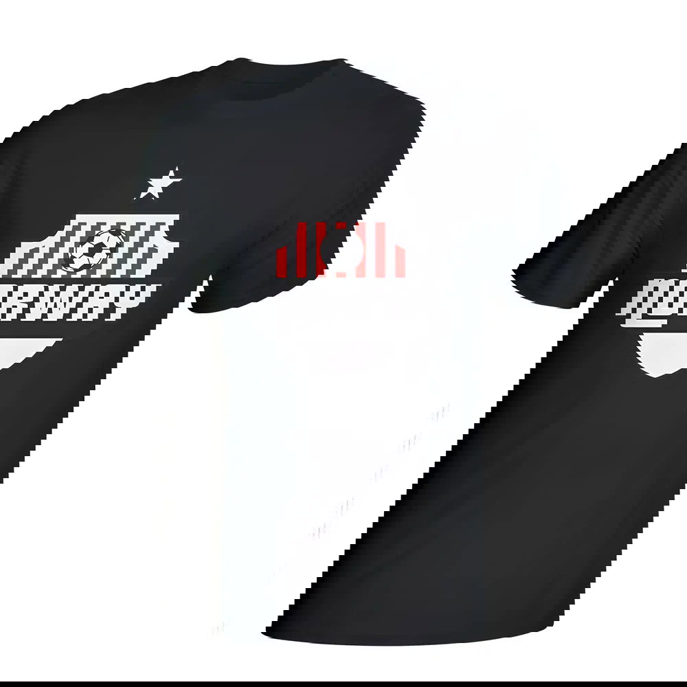 Norway Country Logo T-shirt (black)