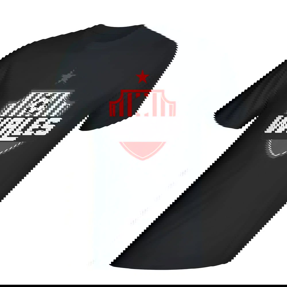 Wales Country Logo T-shirt (black)