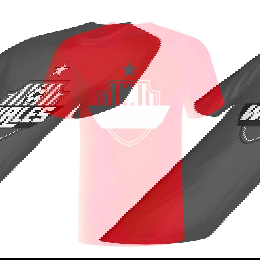 Wales Country Logo T-shirt (red) - Kids