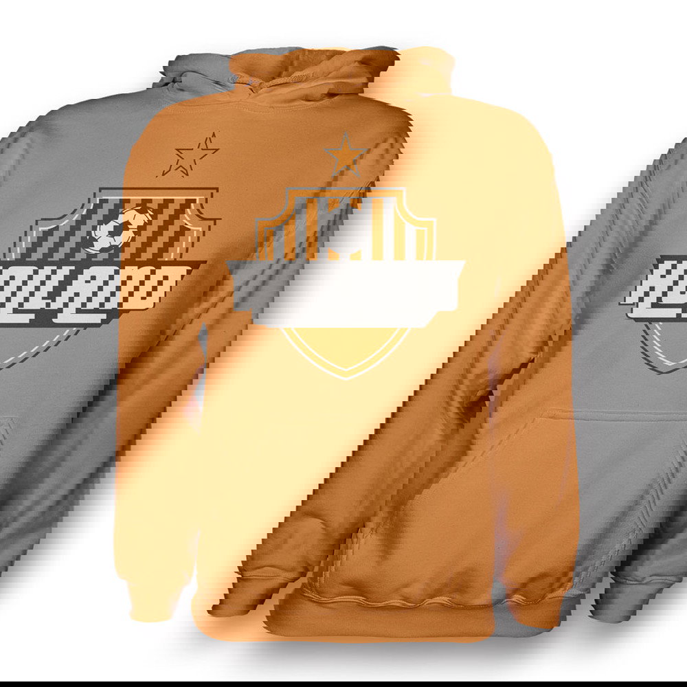 Holland Country Logo Hoody (orange) - Kids