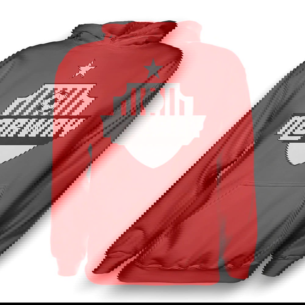 Norway Country Logo Hoody (red) - Kids