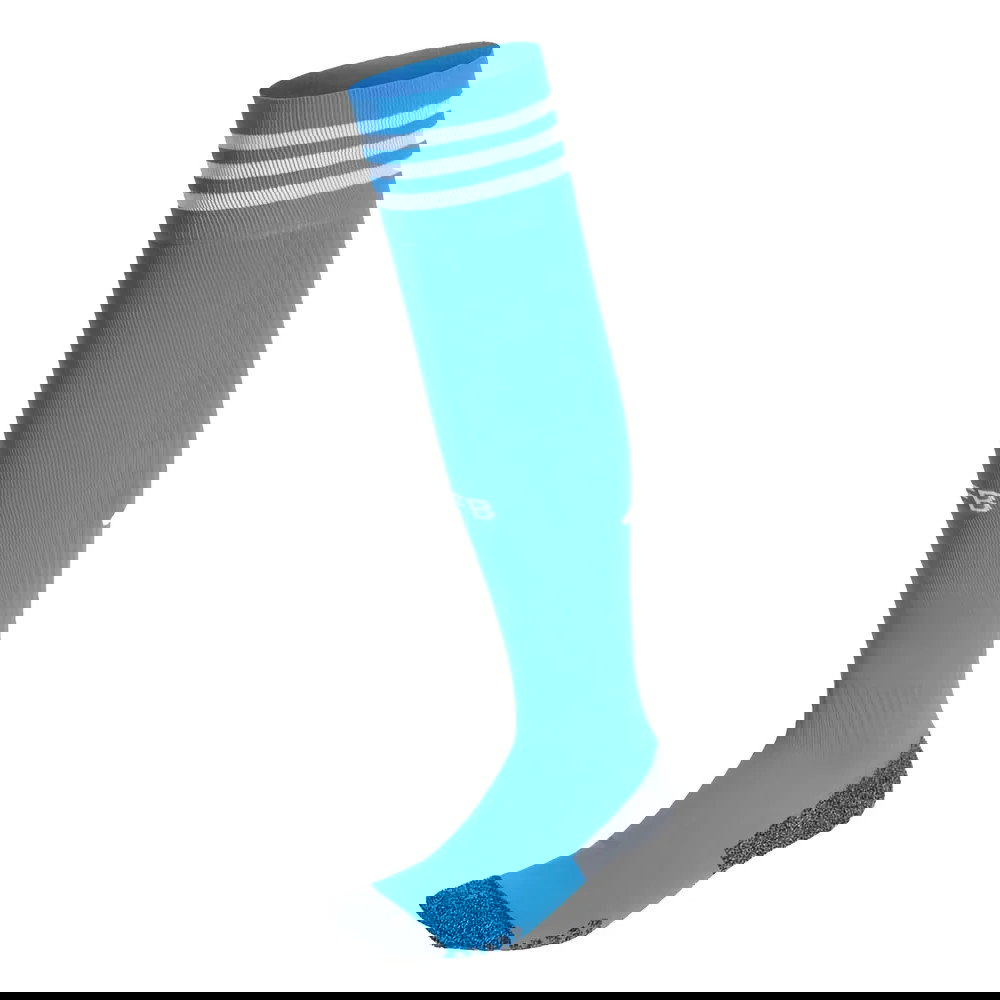 2022-2023 Germany Home Goalkeeper Socks (Blue)