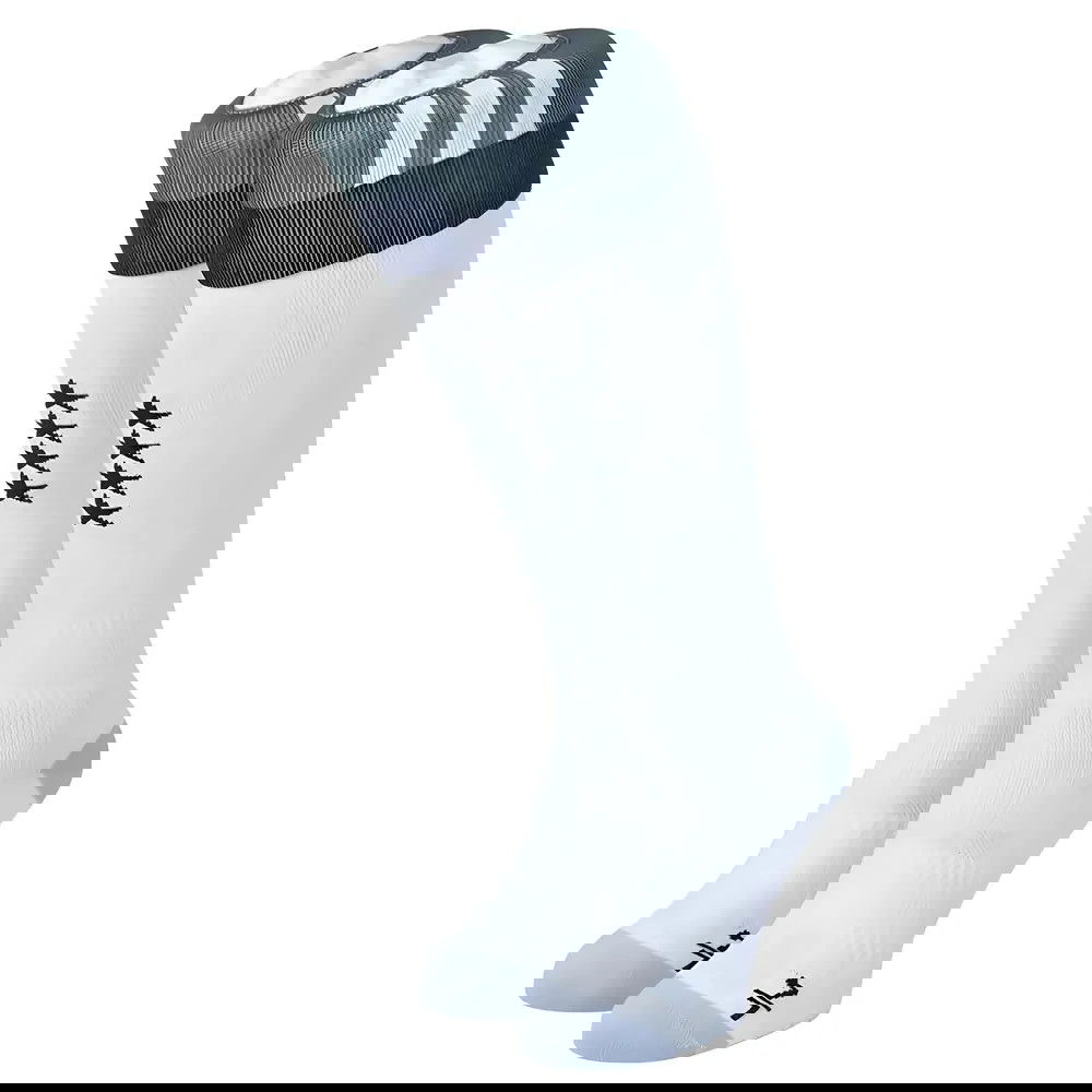 2016-2017 Germany Away Socks (White)