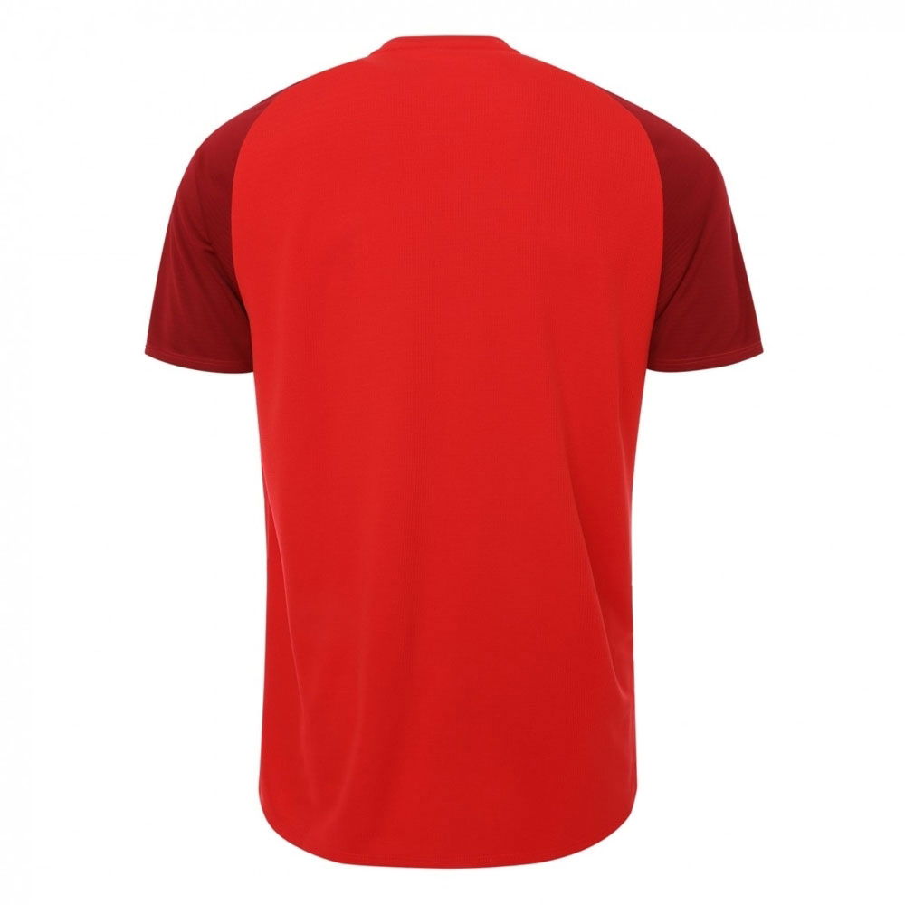 2018-2019 Liverpool Elite Training Jersey (Red)