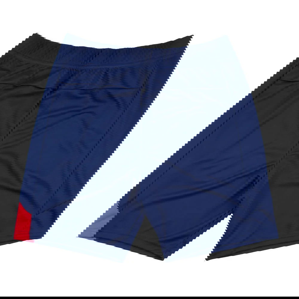 2023-2024 France Rugby Training Shorts (Blue)