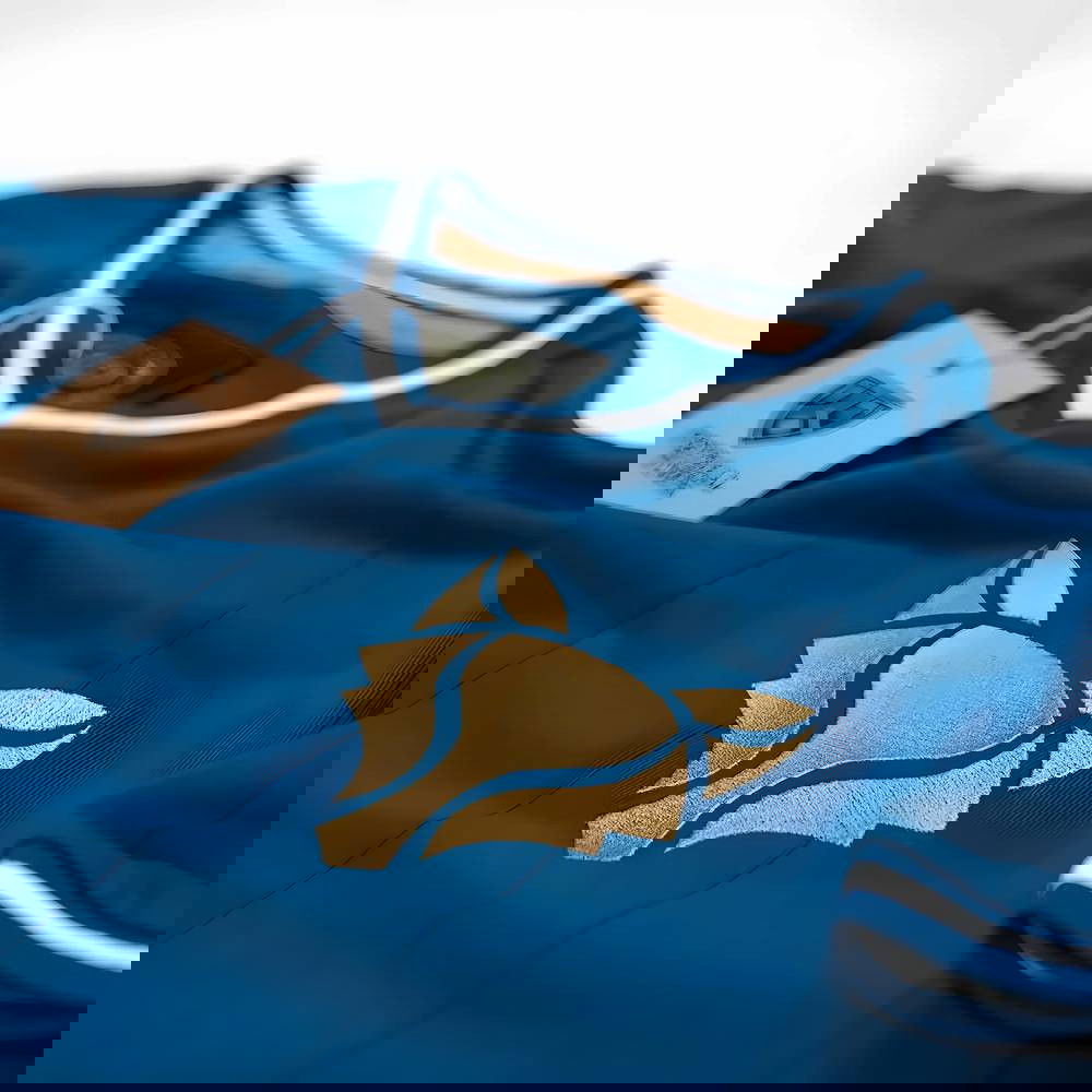 The Fox Home Retro Football Shirt