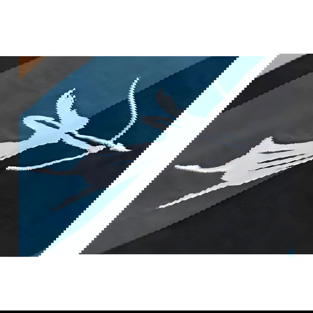 Atalanta La Dea Home Retro Football Shirt