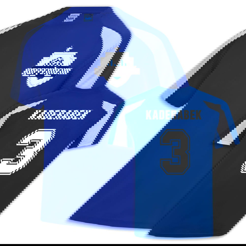Hoffenheim Sports Training Jersey (Pavel Kaderabek 3)