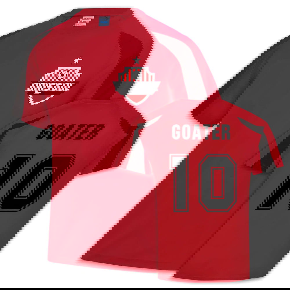 Bristol City Sports Training Jersey (Shaun Goater 10)