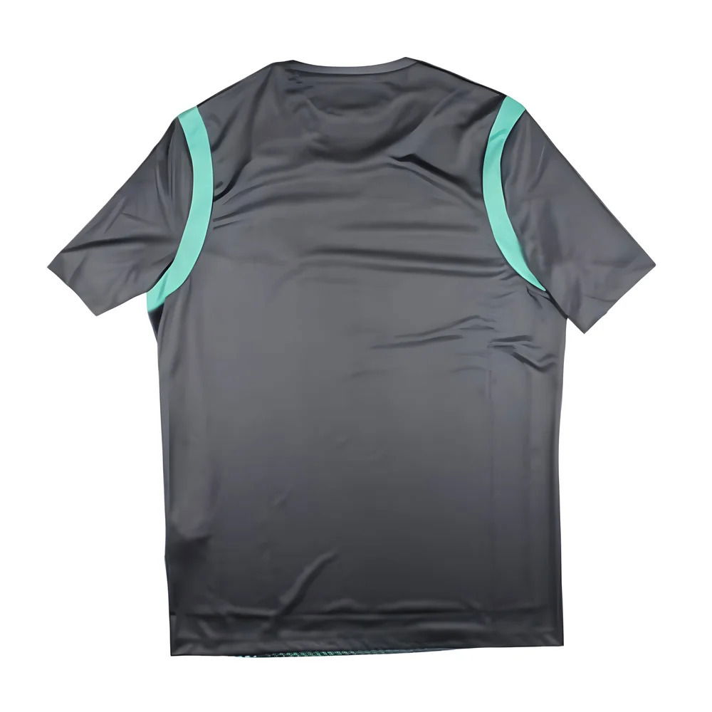 2024 Ireland Cricket Player Training Shirt