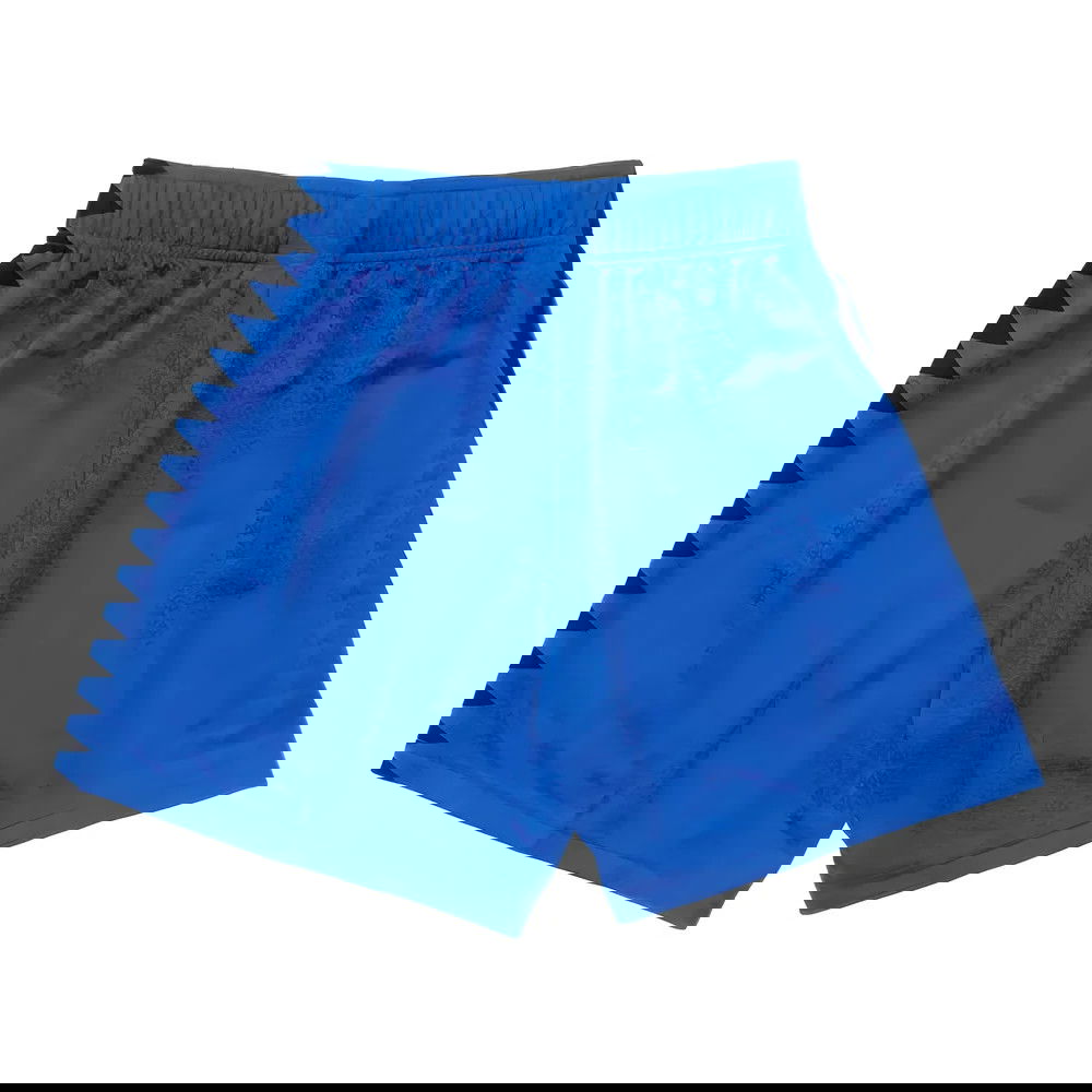 Argentina 1994 Away Shorts (Blue)