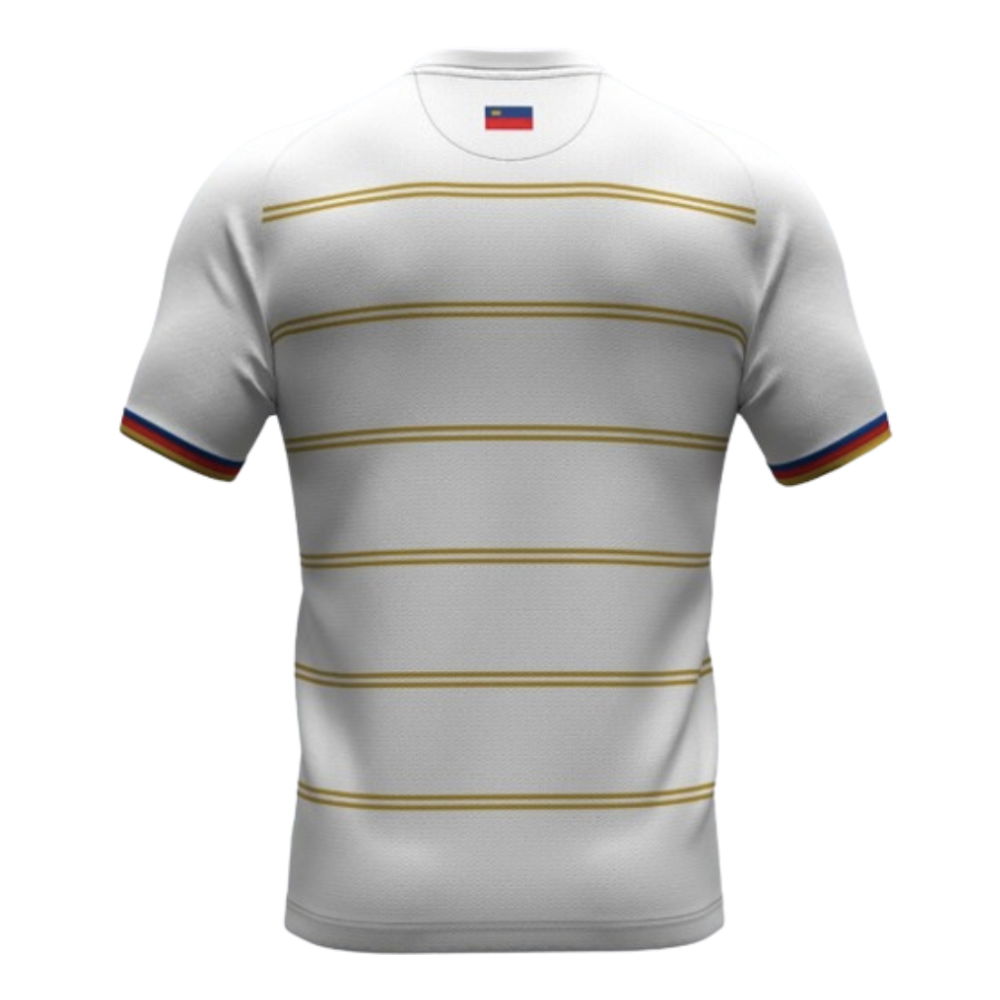 2024-2025 Liechtenstein Third Shirt (Your Name)