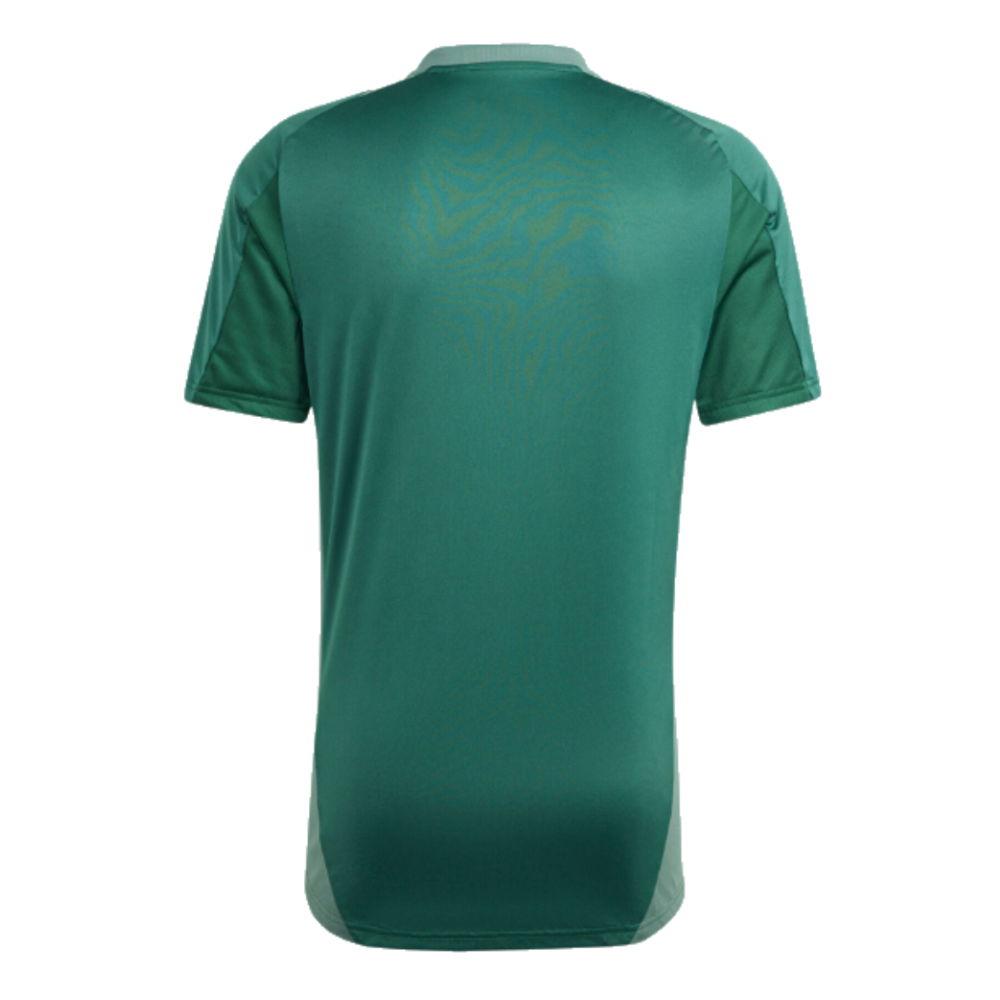 2024-2025 Algeria Training Jersey (Green) (Aouar 8)