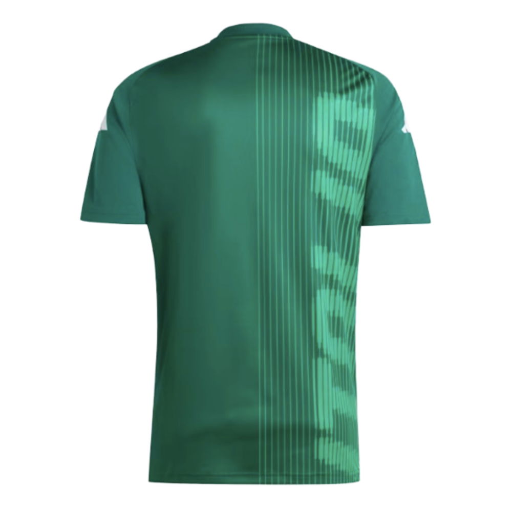 2024-2025 Italy Pre-Match Shirt (Green) (ACERBI 15)