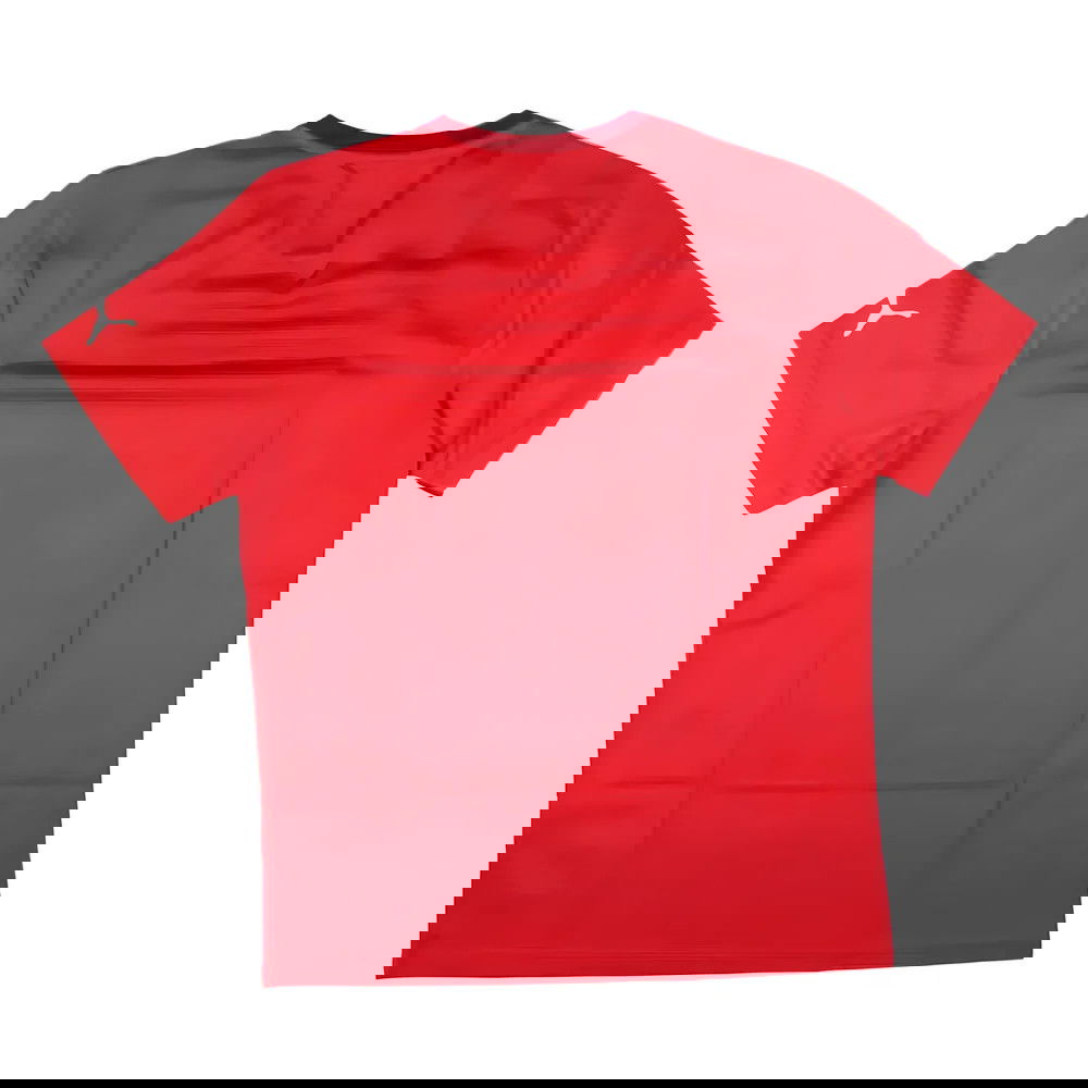 Puma Training Tee (Red)