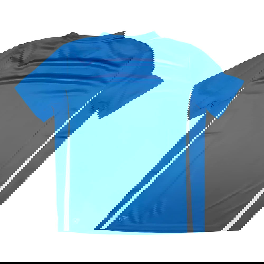 Puma Training Tee (Blue)