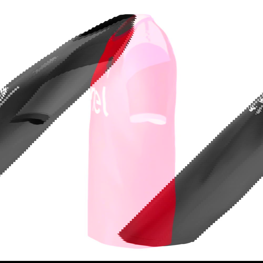 2024-2025 Torino Training Shirt (Red)