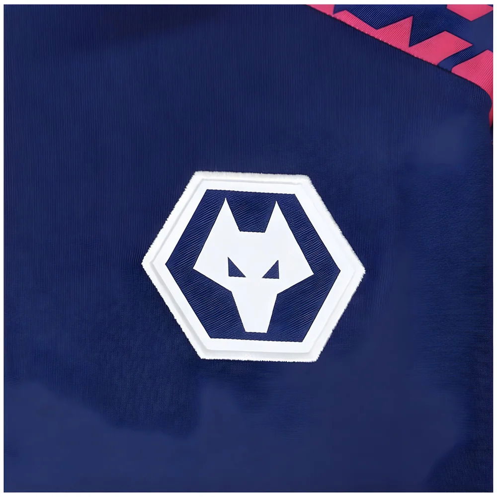 2024-2025 Wolves Pre Match 1/4 Zip Top (Blue/Pink)