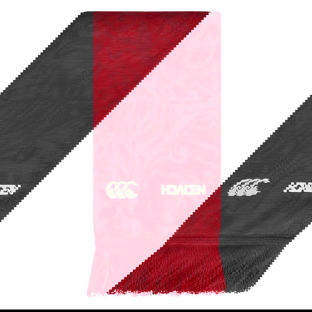 2024-2025 British & Irish Lions Supporters Scarf (Red)