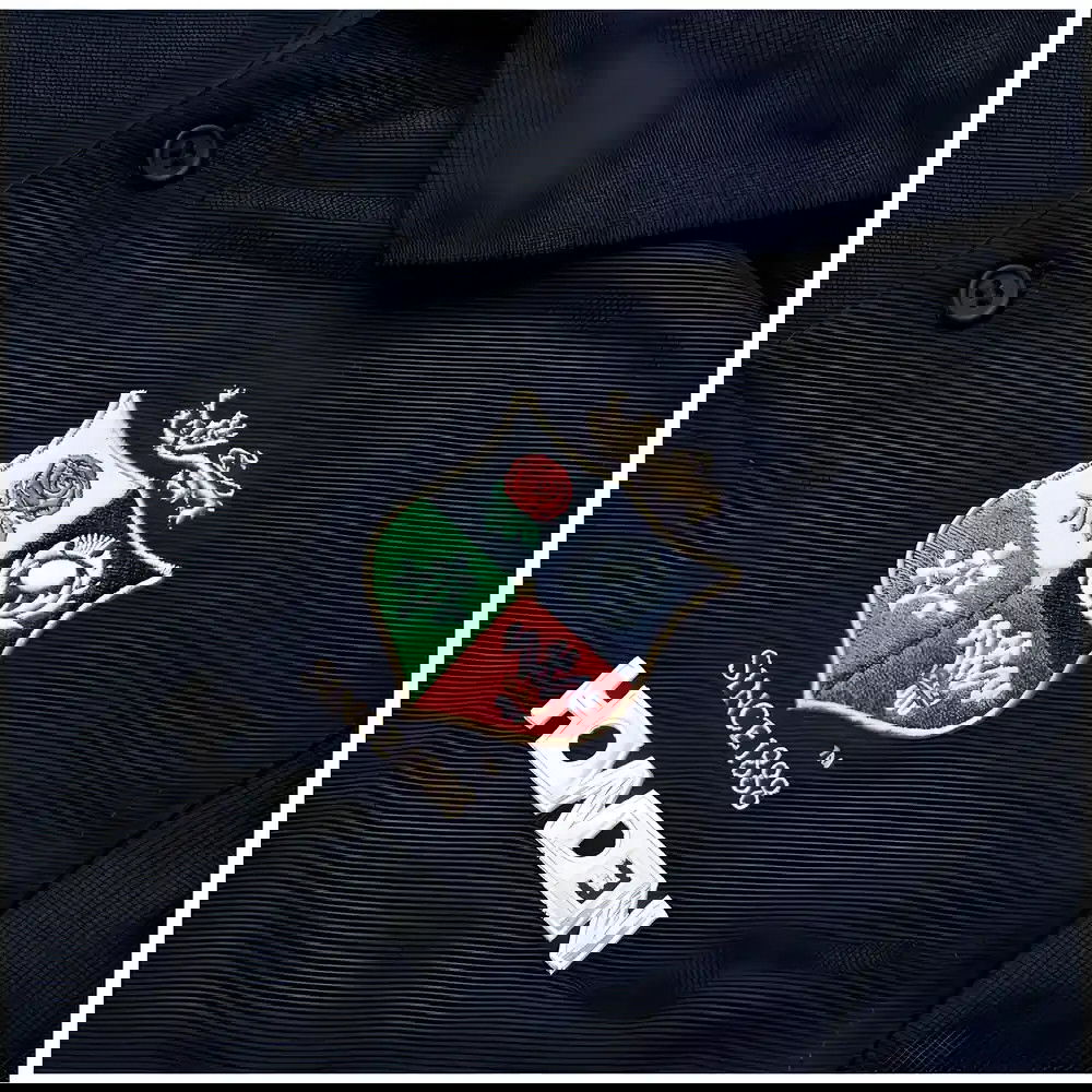 2024-2025 British and Irish Lions Pique Polo Shirt (Navy)