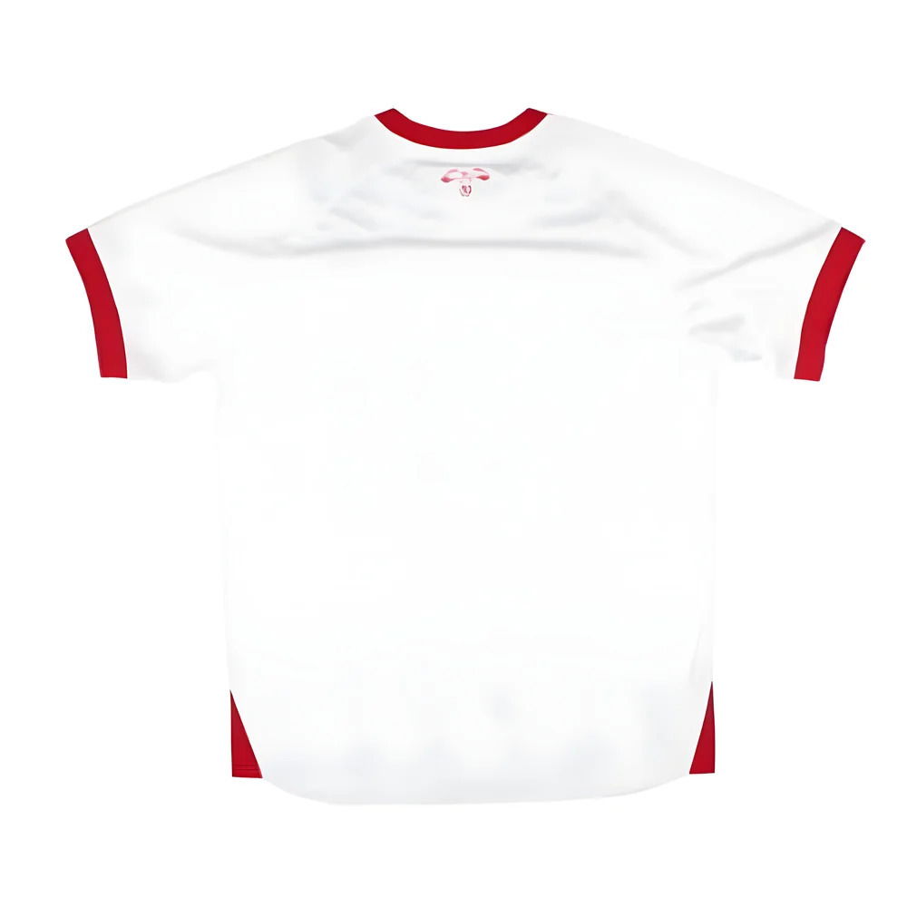 2024-2025 Jordan Home Shirt