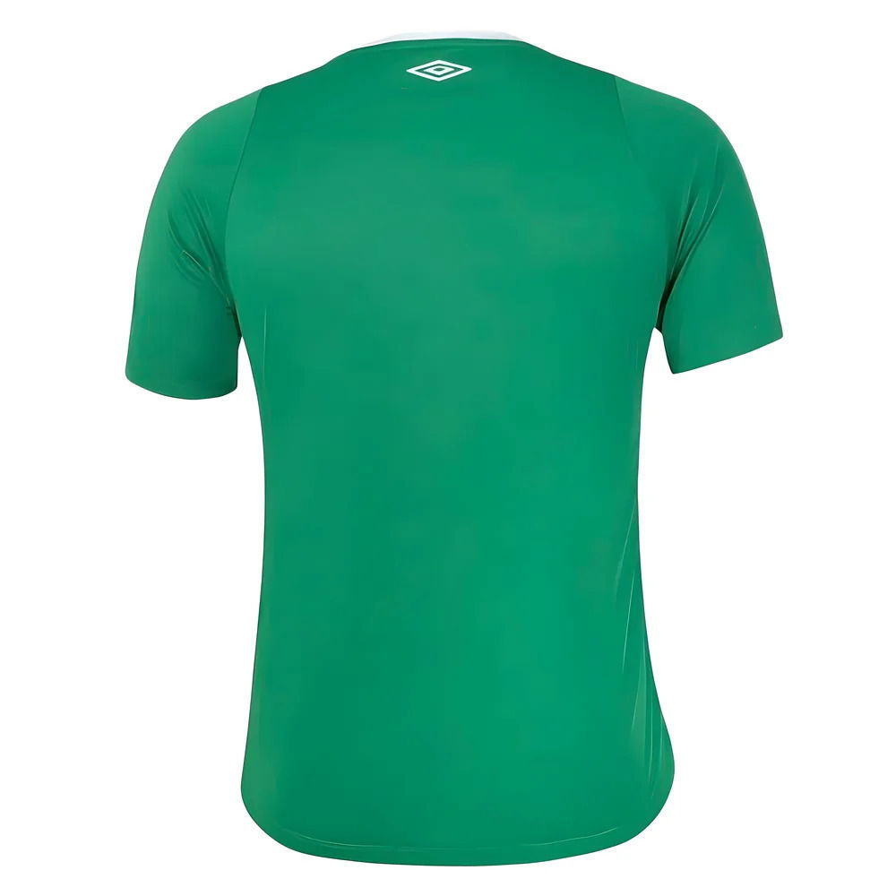 2024-2025 Chapecoense Home Shirt