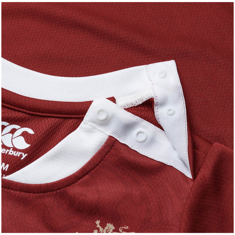 2024-2025 British and Irish Lions Home Rugby Mini Kit