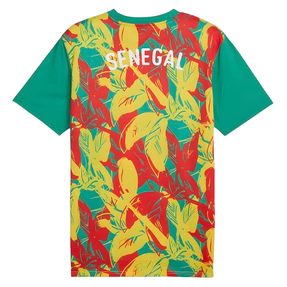 2024-2025 Senegal Prematch SS Jersey (Green)
