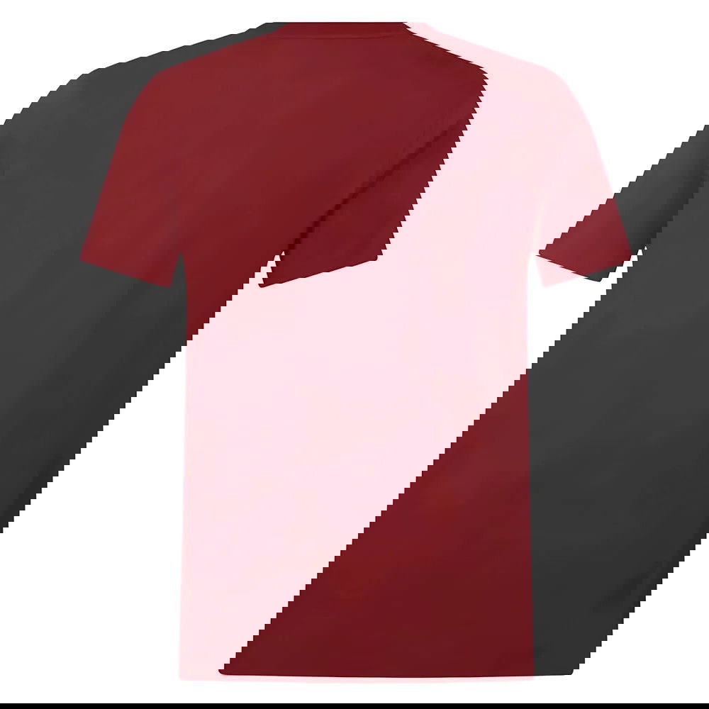 2025 British & Irish Lions Cotton Jersey T-Shirt - Red