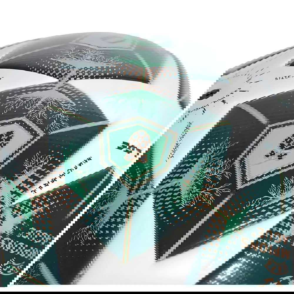 2025 UEFA Champions League Ball (Size 5)