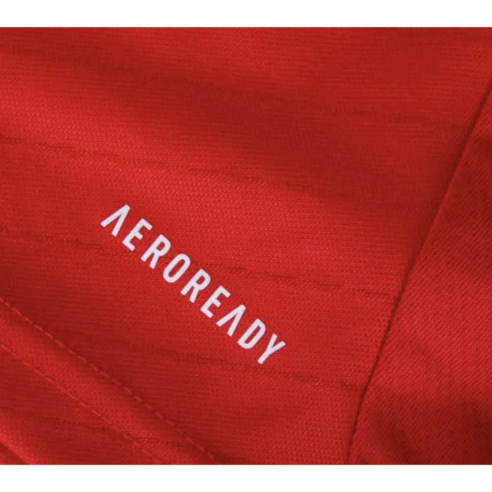 2024-2025 Benfica Home Shirt (No Sponsor)