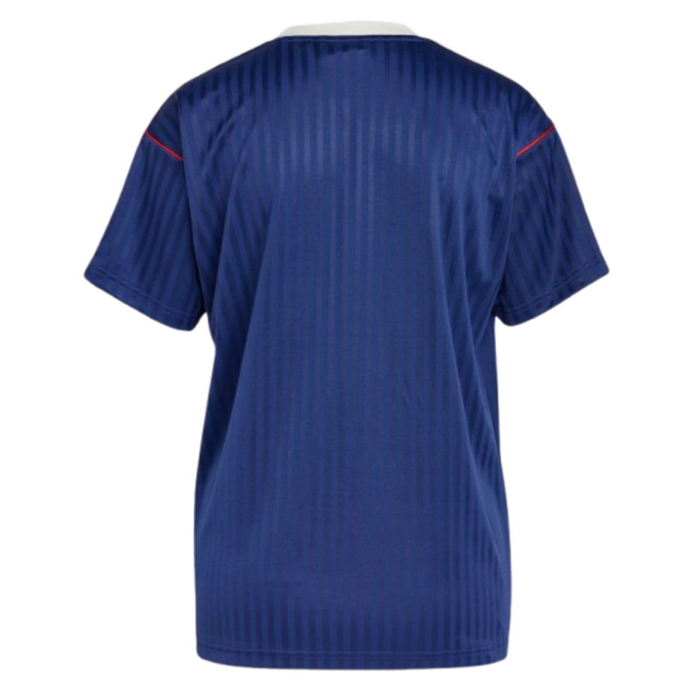 Arsenal Terrace Icons Shirt (Navy) (S.Cazorla 19)