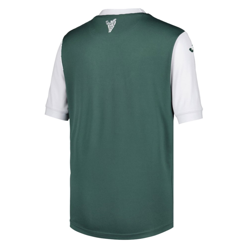 2025-2026 Hibernian Home Shirt - Kids