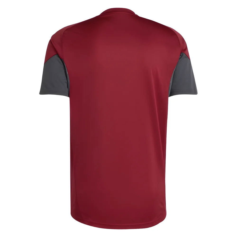 2025-2026 Arsenal EU Training Jersey (Burgundy)